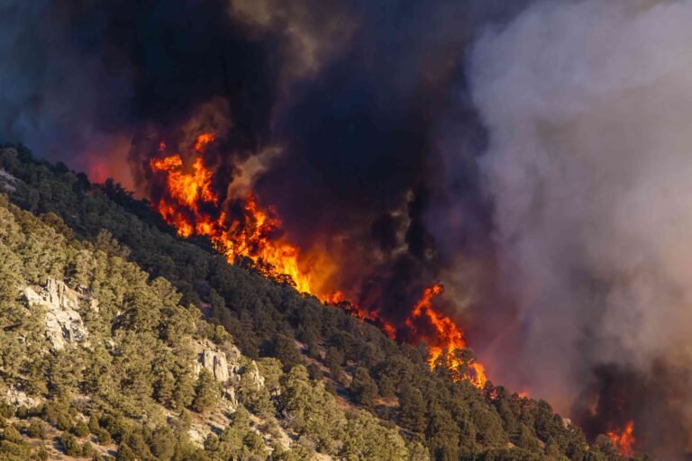 Get Early Alerts With These Top Fire Map Apps of 2026 Get Early Alerts With These Top Fire Map Apps of 2026