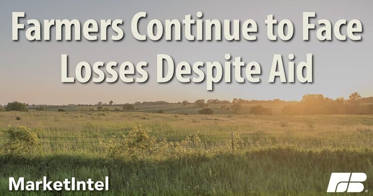 Significant US farm losses persist, despite federal assistance