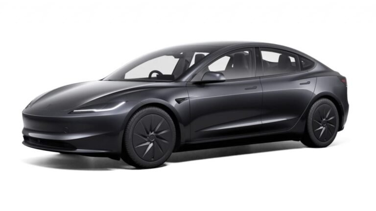 Tesla Malaysia unleases Model 3 Standard RWD and Model Y Long Range RWD