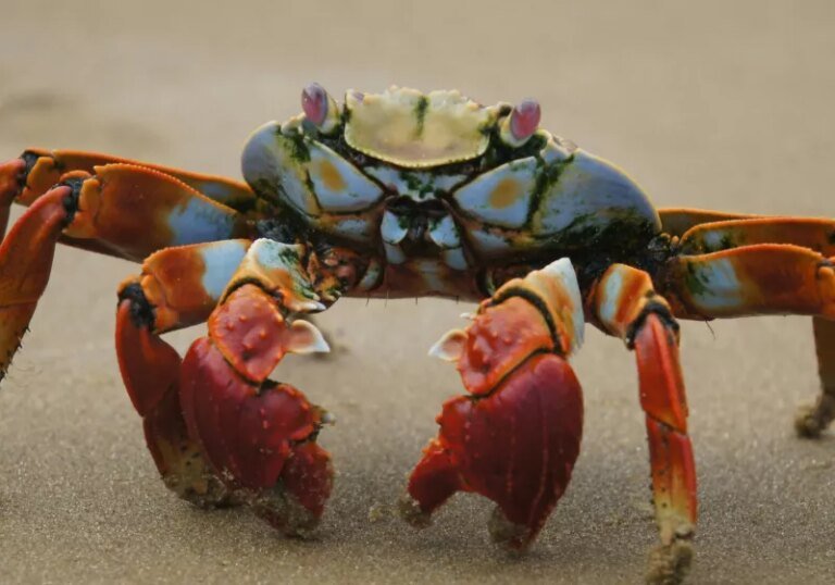 OpenClaw (formerly Clawdbot) can manage your entire digital life, but it might leak your credentials