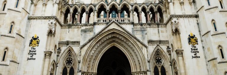 Metropolitan Police needs effective constraints on live facial recognition use, court hears Metropolitan Police needs effective constraints on live facial recognition use, court hears