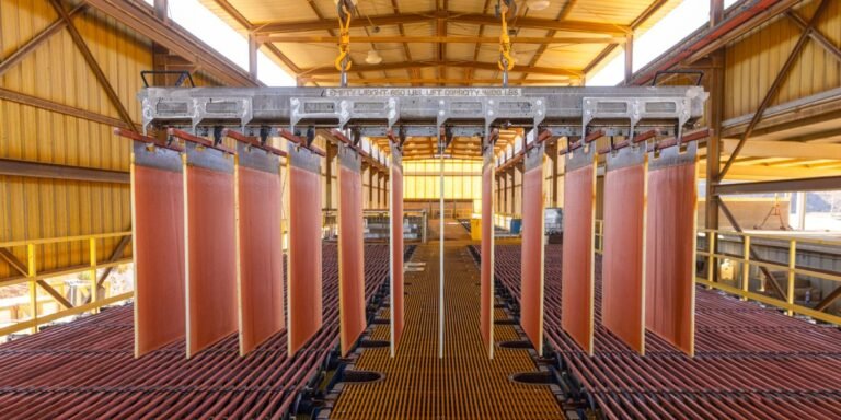 Microbes could extract the metal needed for cleantech