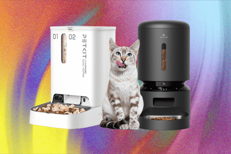 These 10 Automatic Cat Feeders Were the Best We Tested (2026)