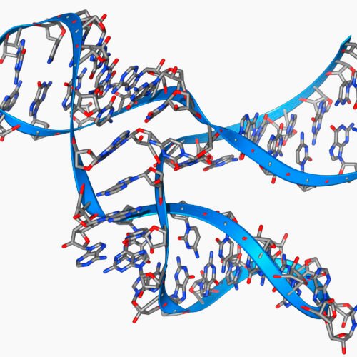 Tiny, 45 base long RNA can make copies of itself Tiny, 45 base long RNA can make copies of itself