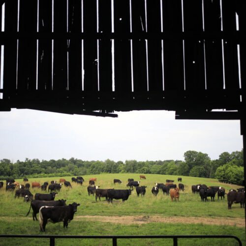 Data center builders thought farmers would willingly sell land, learn otherwise Data center builders thought farmers would willingly sell land, learn otherwise